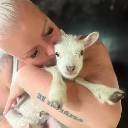Elaemyksellinen Majoitus Aitassa Farm stay *