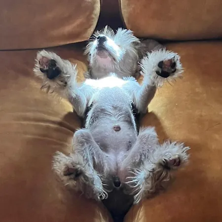 בית חווה Elaemyksellinen Aitassa *