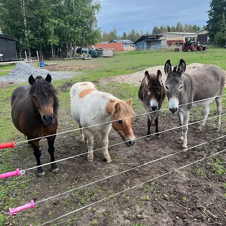 Agroturismo Elaemyksellinen Aitassa Kokkola (Karleby)