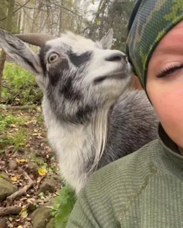 Elaemyksellinen Aitassa Kokkola (Karleby)