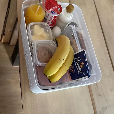 Elaemyksellinen Aitassa *